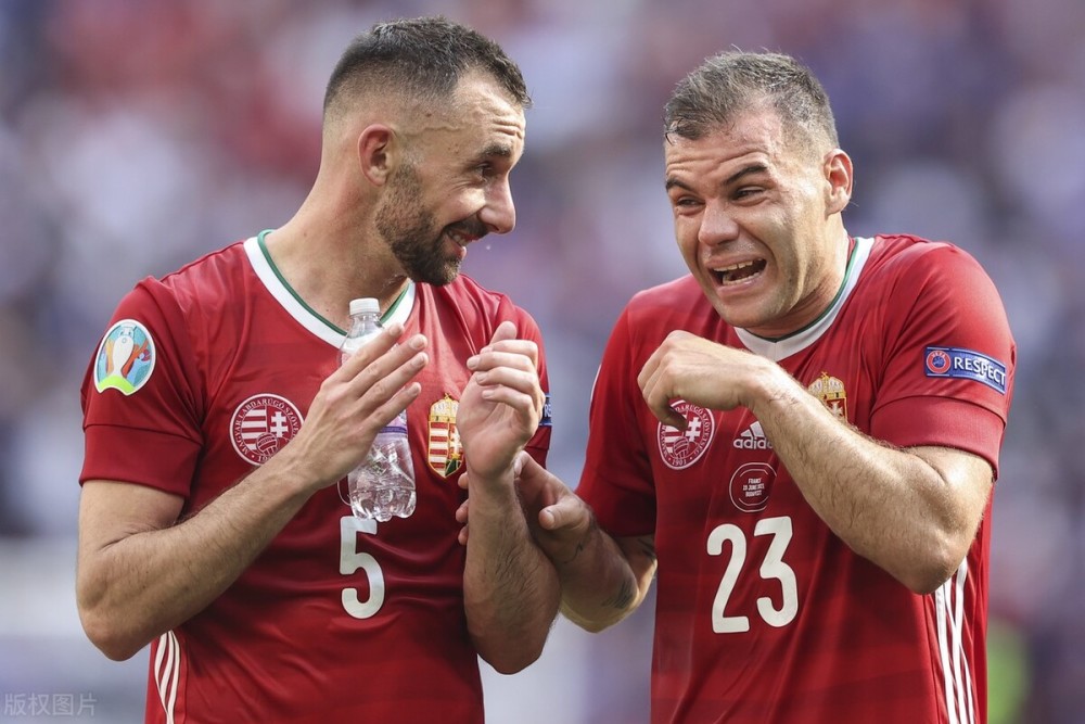 熊猫直播平台-匈牙利爆冷负斯洛文尼亚，出线希望渺茫