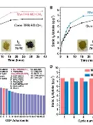 熊猫体育官方网站-NS碾压100T，Bwipo高光表现