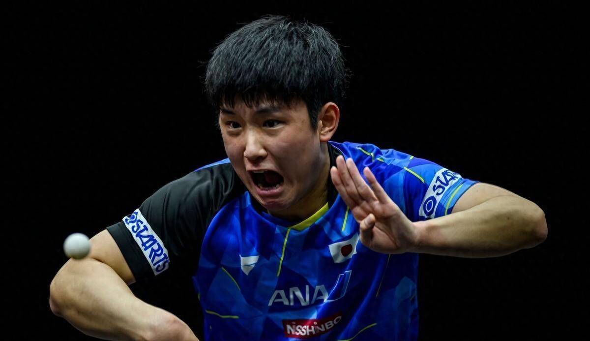 包含韩国队力克德国队，张本智和状态火热的词条